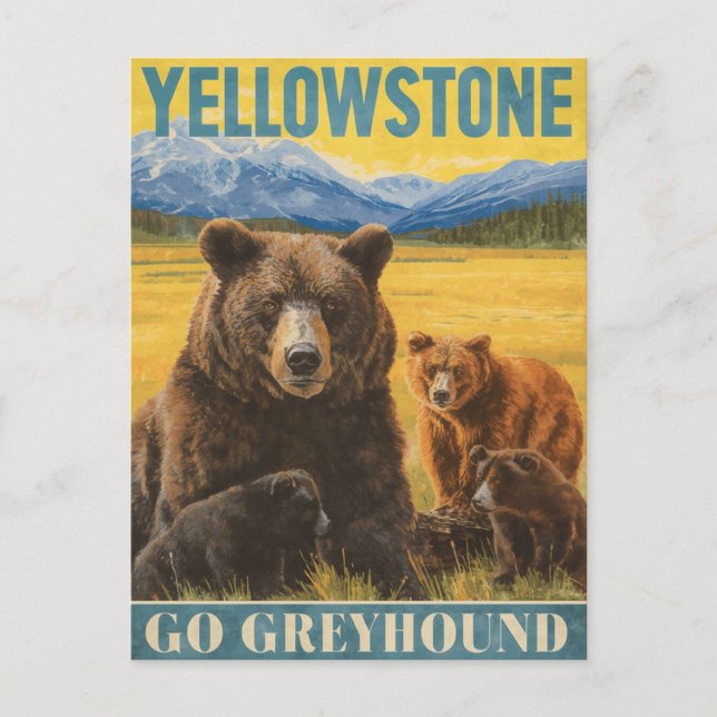 Yellowstone Bears Vintage Travel Postcard (Front)