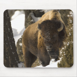 Yellowstone Bison Bull in Winter - Customized Mouse Pad