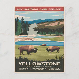 Yellowstone Bison by the Lake Postcard