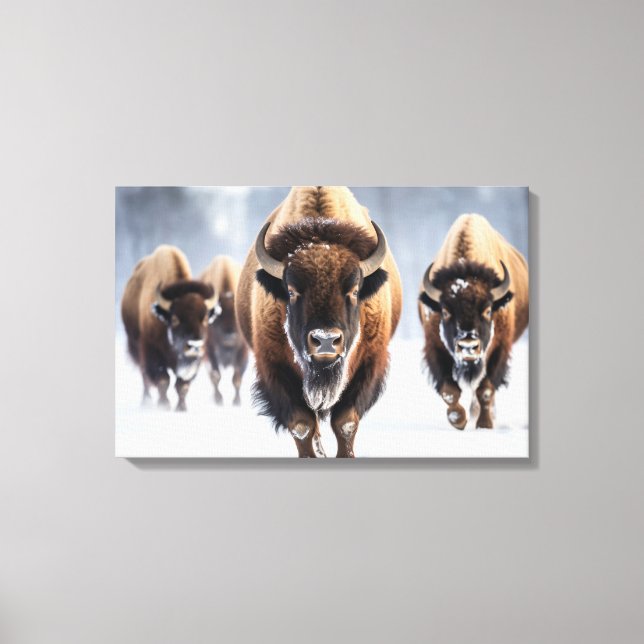   Yellowstone Bison Canvas Art (Front)