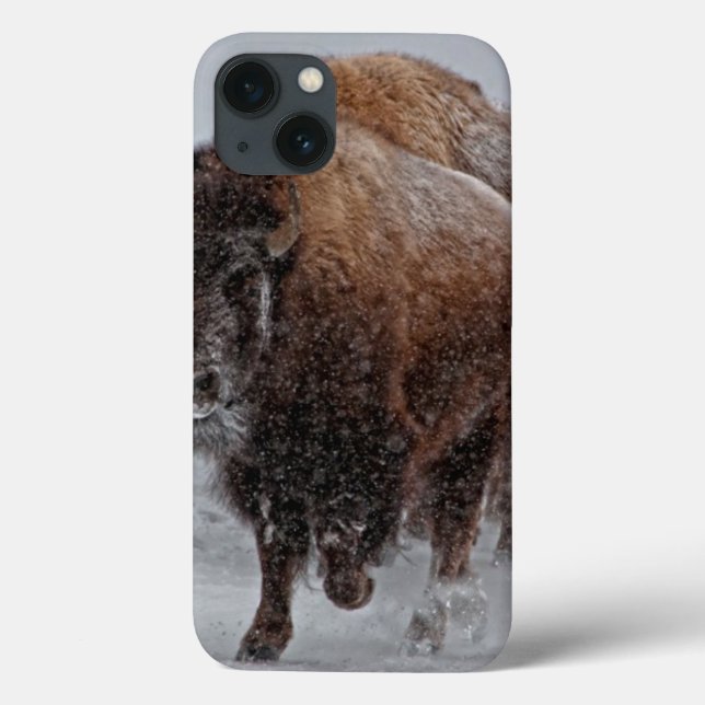 Yellowstone Bison Case-Mate iPhone Case (Back)
