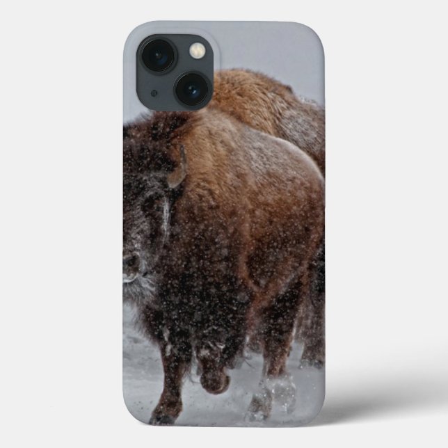Yellowstone Bison Case-Mate iPhone Case (Back)
