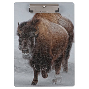 Yellowstone Bison Clipboard