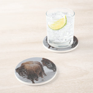 Yellowstone Bison Coaster