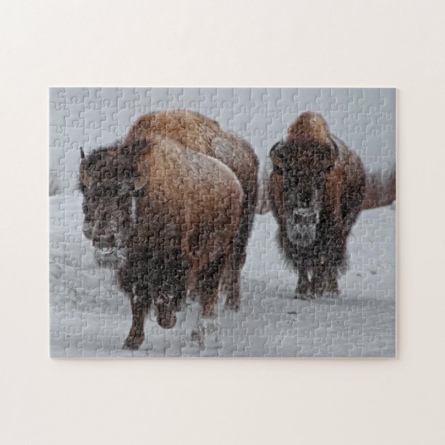 Yellowstone Bison Jigsaw Puzzle (Horizontal)