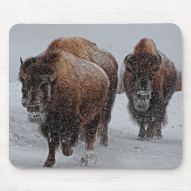 Yellowstone Bison Mouse Pad (Front)