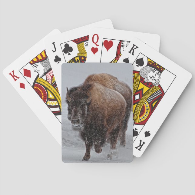 Yellowstone Bison Playing Cards (Back)