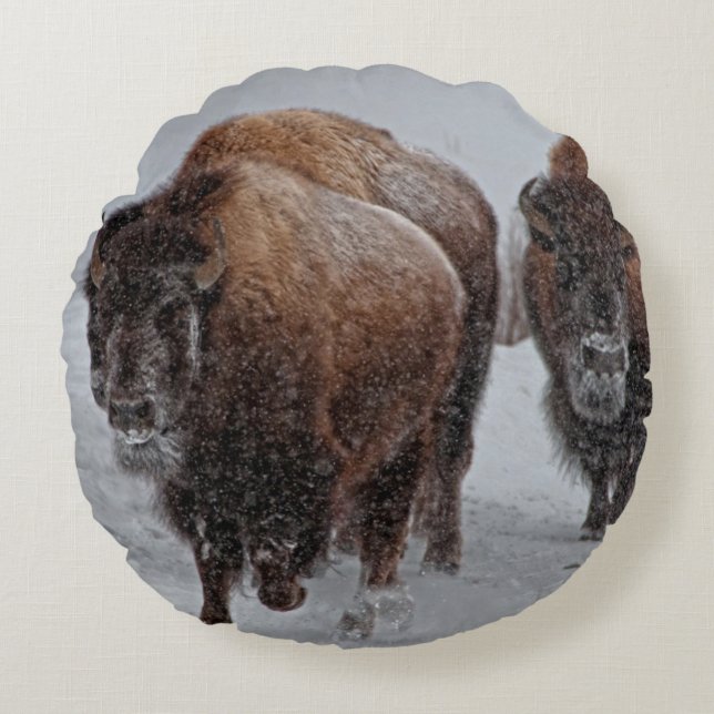 Yellowstone Bison Round Pillow (Front)