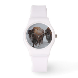 Yellowstone Bison Watch