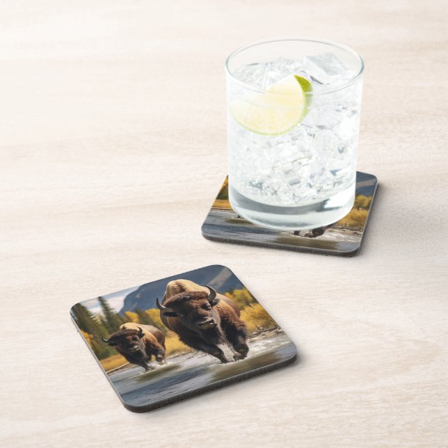 Yellowstone Buffalo Coaster Set (Right Side)