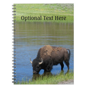 Yellowstone Buffalo Souvenir Notebook