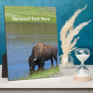 Yellowstone Buffalo Souvenir Plaque