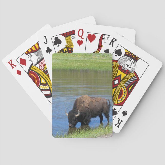 Yellowstone Buffalo Souvenir Playing Cards (Back)