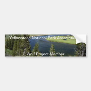 Yellowstone Bumper Sticker