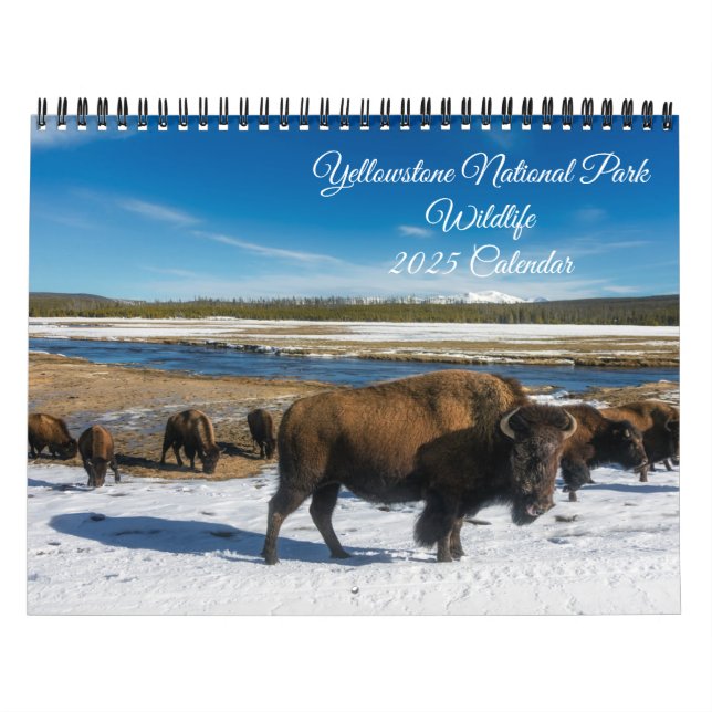 Yellowstone Calendar-Wildlife Calendar (Cover)