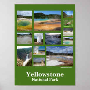 Yellowstone Collage (Portrait) Poster