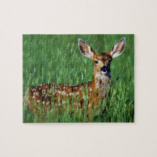 Yellowstone Game Puzzle