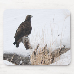 Yellowstone Golden Eagle Mouse Pad