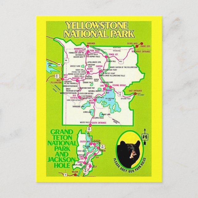 Yellowstone - Grand Teton Postcard (Front)