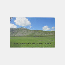 Yellowstone Green Meadow Photo National Park