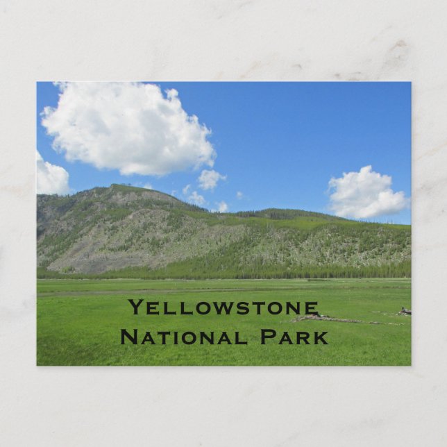 Yellowstone Landscape Photo Mountain National Park Postcard (Front)