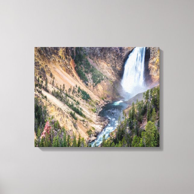   Yellowstone Lower Falls Canvas Art (Front)