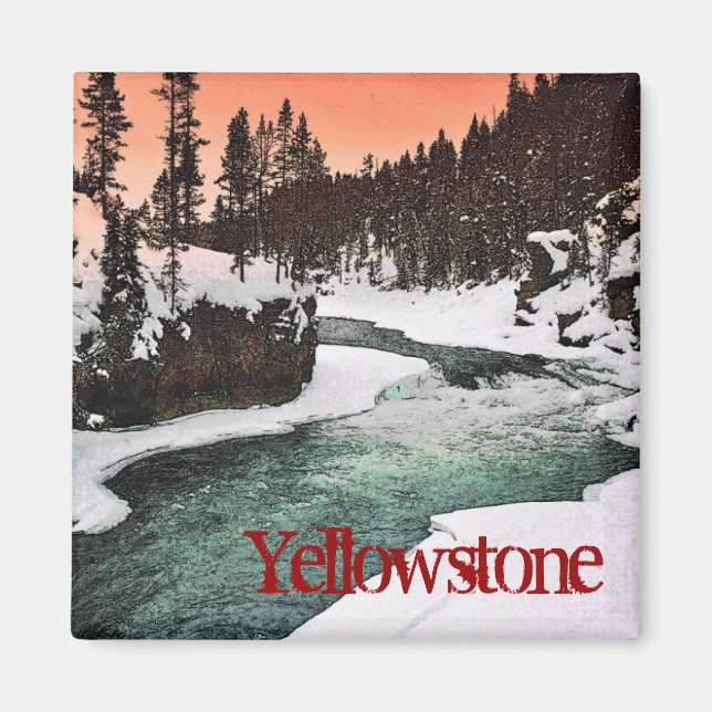 Yellowstone Magnet (Front)