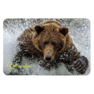 Yellowstone Magnet-Bear Magnet