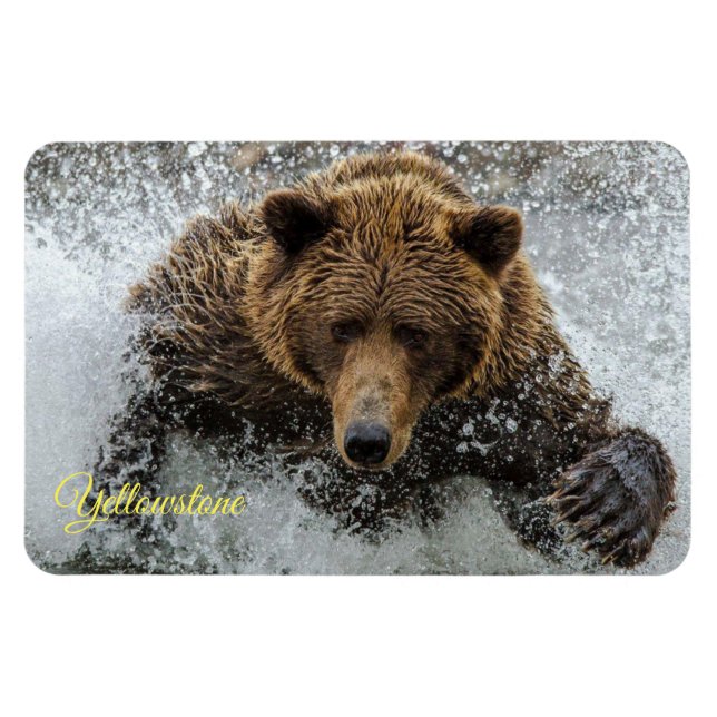 Yellowstone Magnet-Bear Magnet (Horizontal)