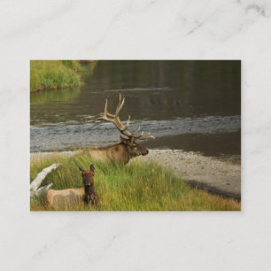 Yellowstone Mates Mini Print Business Card