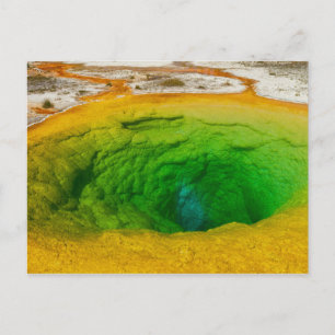 Yellowstone - Morning Glory Pool carte postale