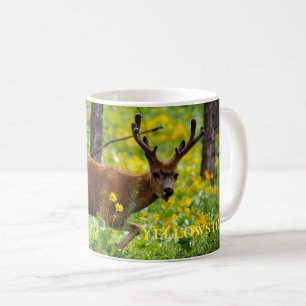 Yellowstone Mug Deer