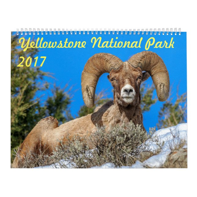 Yellowstone National Park 2017 Wall Calendar (Cover)