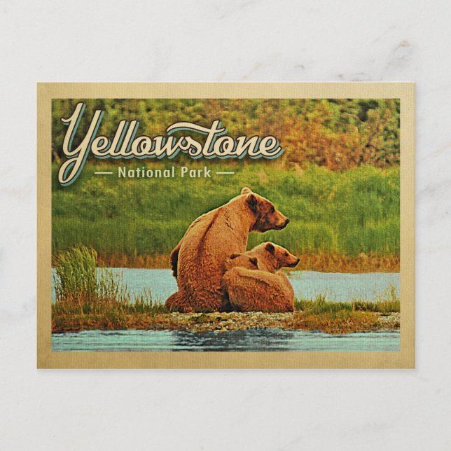Yellowstone National Park Bears Vintage Postcard (Front)
