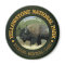 Yellowstone National Park (bison)