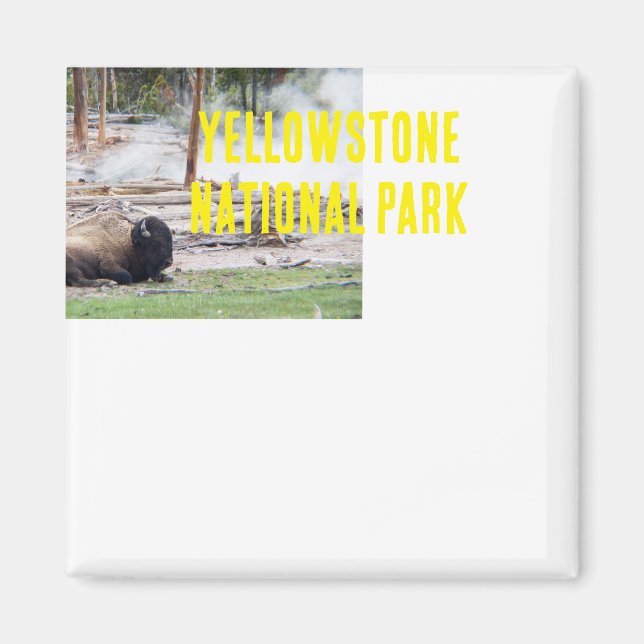 Yellowstone National Park Bison Magnet (Front)
