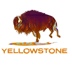 Yellowstone National Park Bison  T-Shirt