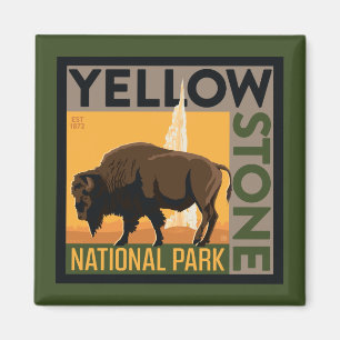 Yellowstone National Park   Buffalo Magnet