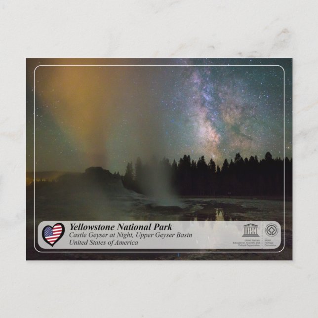 Yellowstone National Park - Castle Geyser Postcard (Front)