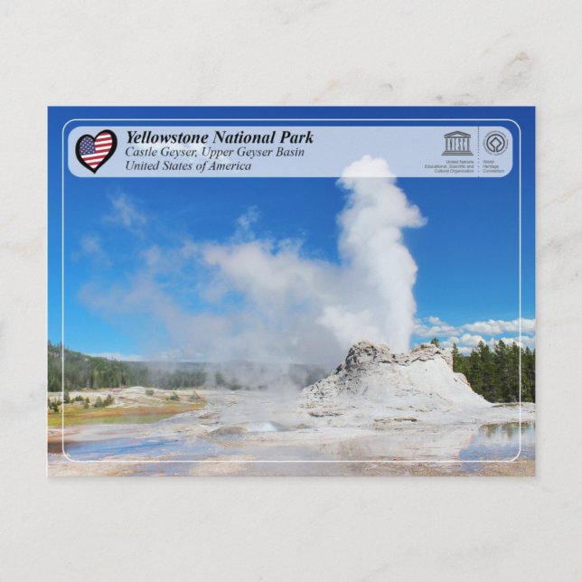 Yellowstone National Park - Castle Geyser Postcard (Front)
