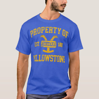 yellowstone national park distressed T-Shirt