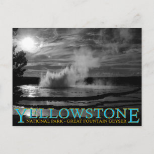 Yellowstone National Park Great Fountain Geyser Postcard