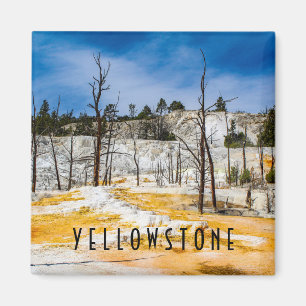 Yellowstone National Park Magnet
