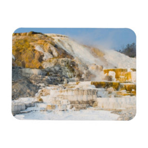 Yellowstone National Park Magnet