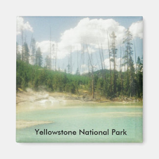 Yellowstone National Park Magnet
