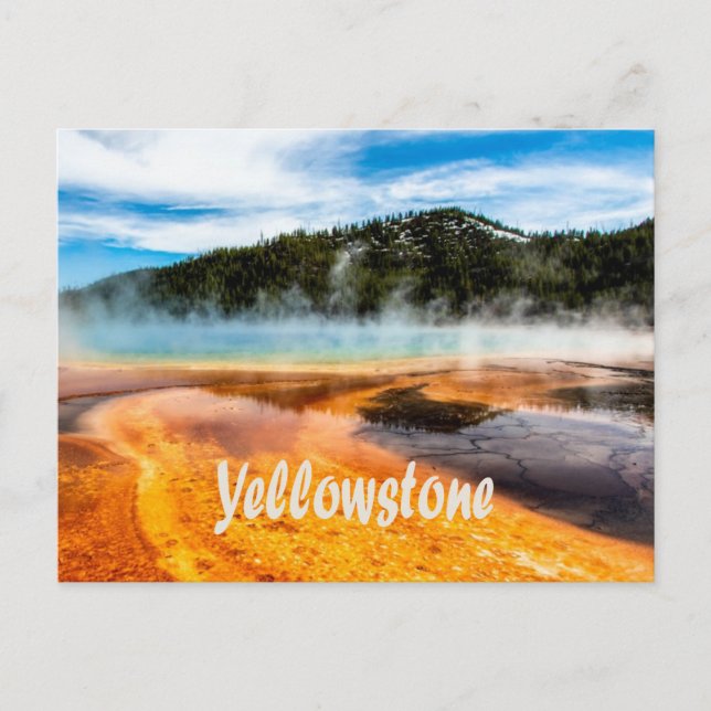 Yellowstone National Park Mountains Nature Animals Postcard (Front)