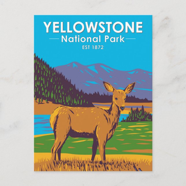 Yellowstone National Park Mule Deer Vintage Postcard (Front)
