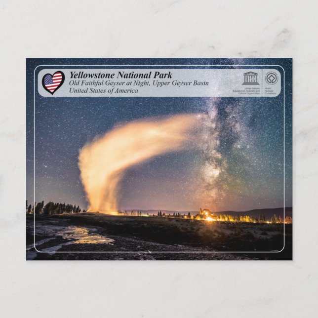 Yellowstone National Park - Old Faithful Geyser Postcard (Front)