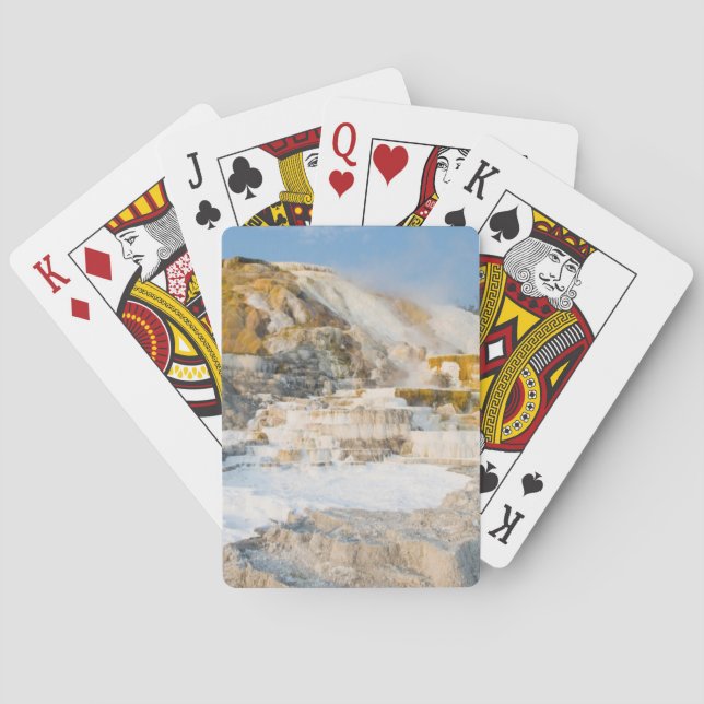 Yellowstone National Park Playing Cards (Back)