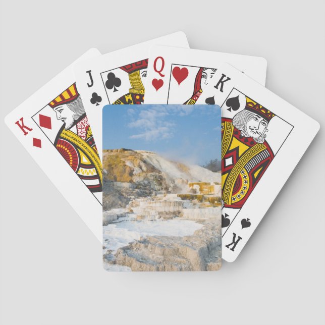 Yellowstone National Park Playing Cards (Back)